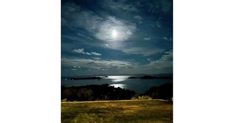Waiheke Island Private Stargazing Tour/Night Walk | Terra & Tide ...