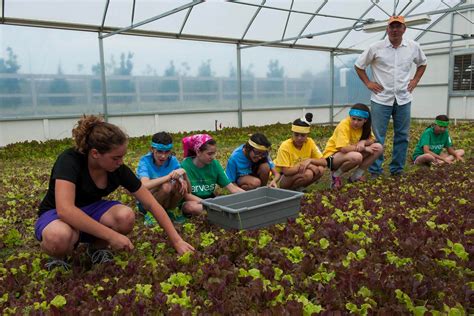 CSA Community Supported Agriculture 的图像结果