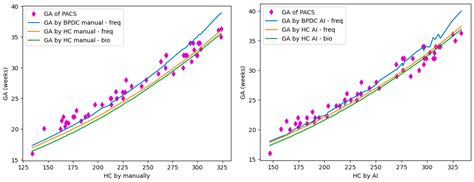 Fetal Gestational Age Prediction in Brain Magnetic Resonance Imaging ...