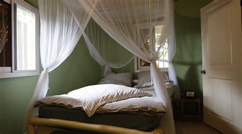 THE COCONUT TELEGRAPHER (Batukunku) - Lodging Reviews & Photos ...