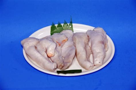 Image result for Conch Shell Meat