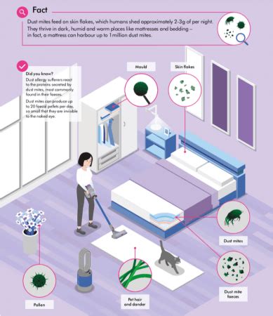 Indian pet owners aware of bacteria residing on pets; not grooming them ...