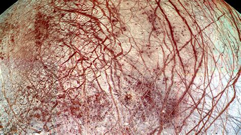 Alien Life On Jupiter 的图像结果