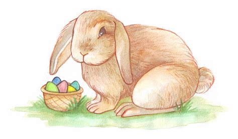 Drawing Easter Rabbit at Phoebe Wardill blog