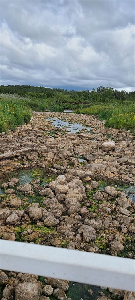 Silver Lake Regional Park - All You Need to Know BEFORE You Go (2025)