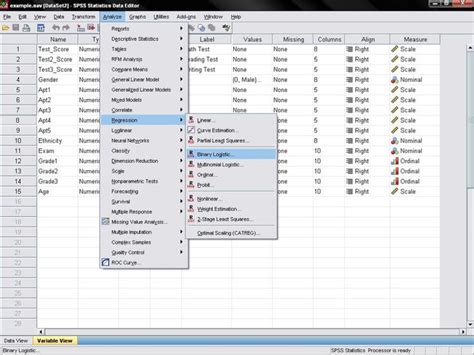 Logistic Regression Model Validation On SPSS 的图像结果