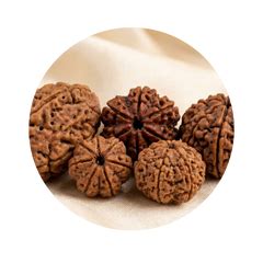 1 to 14 Mukhi Rudraksha Mala: Meaning, Significance and Benefits ...