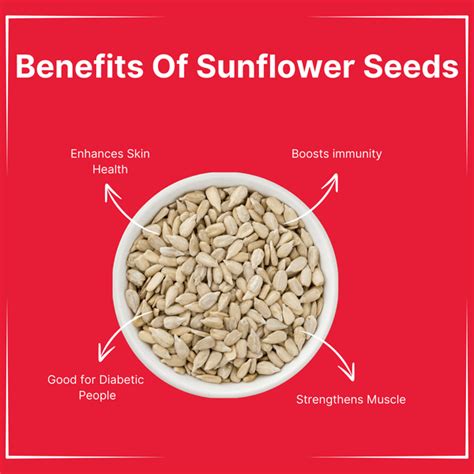 Buy Online Premium Sunflower Seed at Best Price in India – BoYo