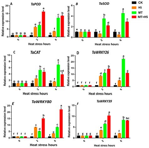Melatonin Suppressed the Heat Stress-Induced Damage in Wheat Seedlings ...