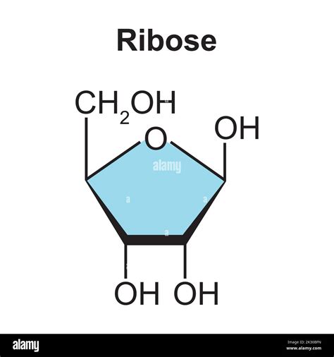 Ribose Chemical Structure