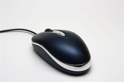 Fix a Mouse Problem 的图像结果