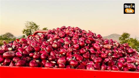 Onion Price - Onion Price: प्याज के ग‍िरते दाम के बीच बांग्लादेश ने ...