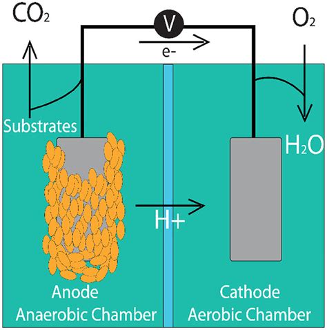 Image result for Microbial Fuel Cell Anode and Cathode
