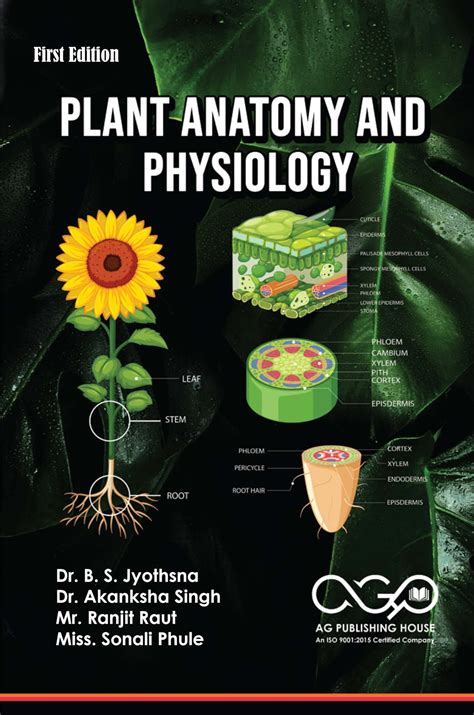 Buy Plant Anatomy And Physiology. Book Online at Low Prices in India ...