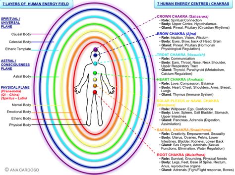 Energy Human 的图像结果