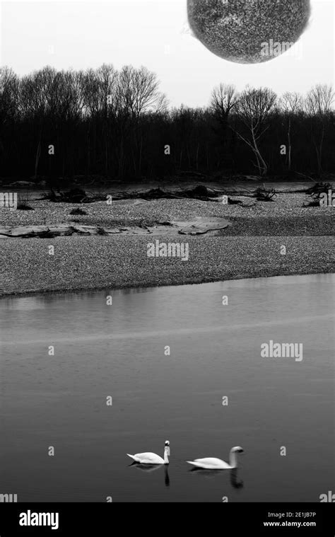 Image result for Collapsing Stars