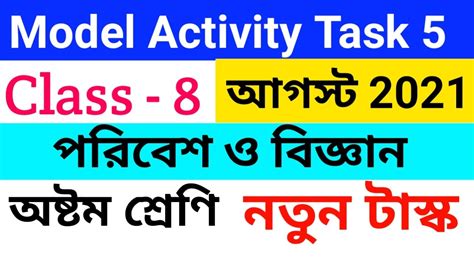 Model Activity Task Class 8 Part 5 的图像结果