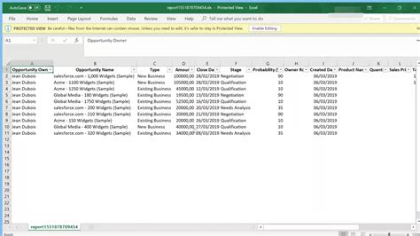 How to Export Salesforce to Excel 的图像结果