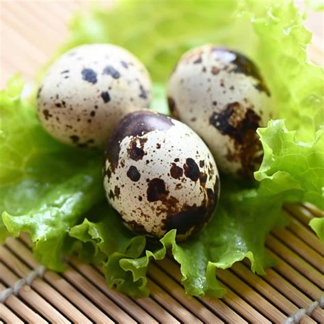 How Much Protein Is In A Quail Egg: Nutritional Facts