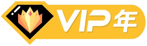 VIP会员制度-初语