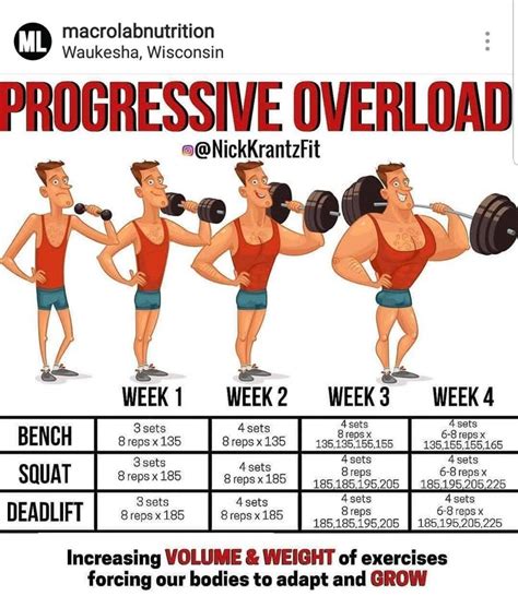 Image result for Progressive Overload Graph