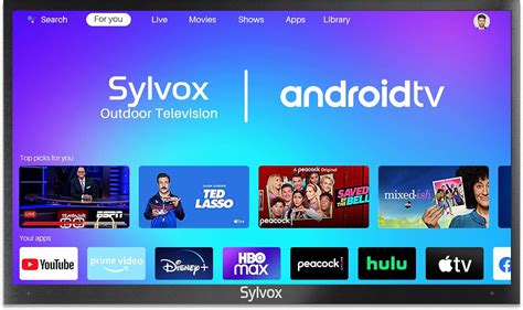 SYLVOX Outdoor TV, 43 Deck Pro Series 4K UHD | Ubuy India