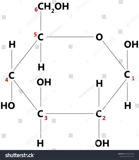 Beta Glucose Ring Structure Monosaccharides Stock Illustration 1853522839 | Shutterstock