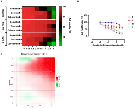 SSTR2-Targeted Theranostics in Hepatocellular Carcinoma