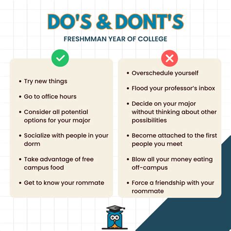 101 Tips for a Successful College Experience - My Private Professor
