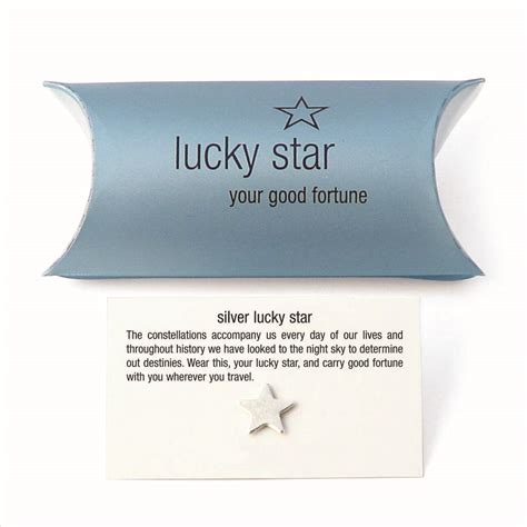 Silver Good Luck Ladybird Keepsake Gift By Tales From The Earth