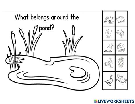 Science Experiments for 2nd Grade 的图像结果