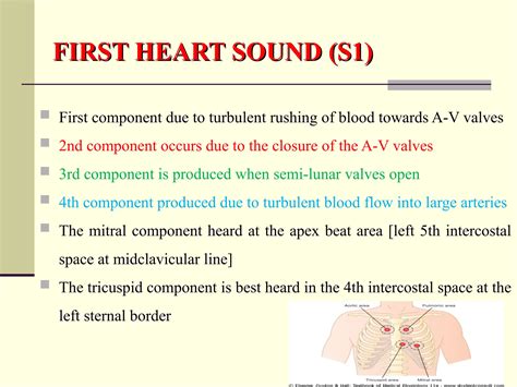 Lecture 9 - Heart sounds Lecture (2012).ppt