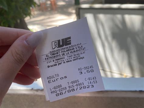 TRAIN TOURISTIQUE (2025) All You Need to Know BEFORE You Go (with ...