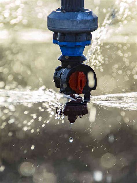 Image result for Sprinkler Accelerator