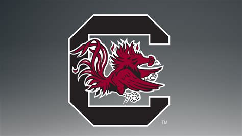 🔥 [40+] South Carolina Gamecocks Football Wallpapers | WallpaperSafari