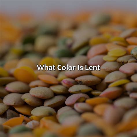 What Color Is Puce - colorscombo.com