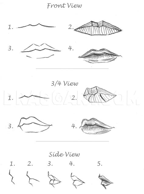 Image result for Realistic Lips Drawing