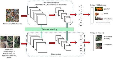 Burned Olive Trees Identification with a Deep Learning Approach in ...