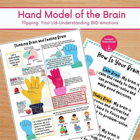 Emotional Regulation Brain Poster, Flip Your Lid Hand Model of Brain for Understanding Emotions ...