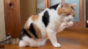 Image result for Java Real-Time Projects