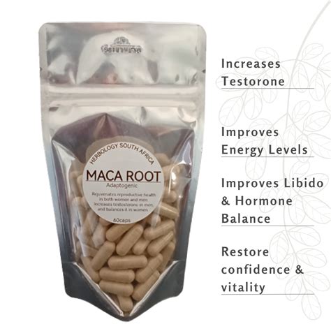 Image result for Maca Root PNG