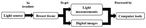 Design of a Low-Cost Diffuse Optical Mammography System for Biomedical ...