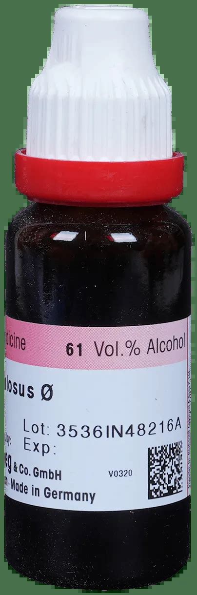 Dr. Reckeweg Fucus Vesic Mother Tincture Q