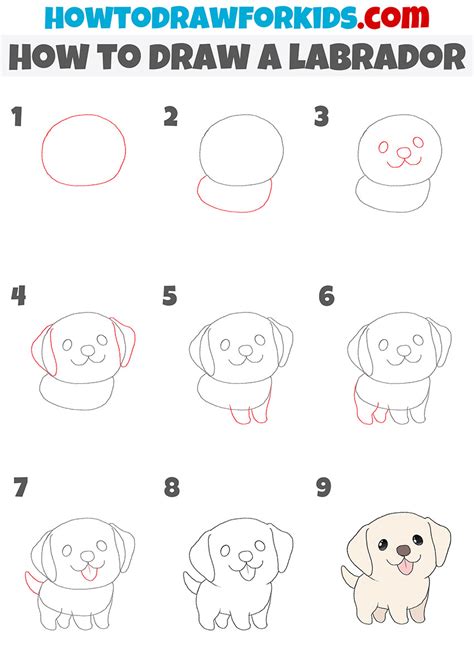 Image result for How to Draw a Labrador Step by Step