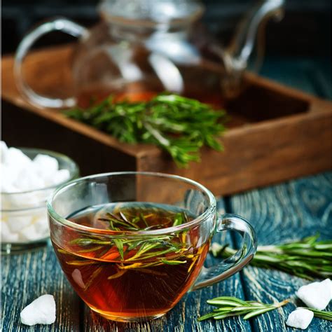 ¿Para Qué Sirve El Té De Romero? | GILI