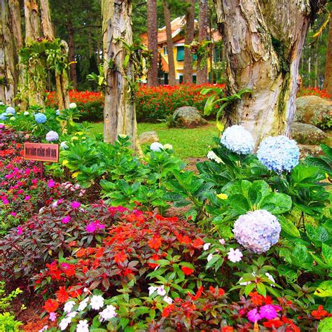 BAO DAI'S PALACE - KING'S PALACE 1 (DINH 1) (2026) All You Need to Know ...