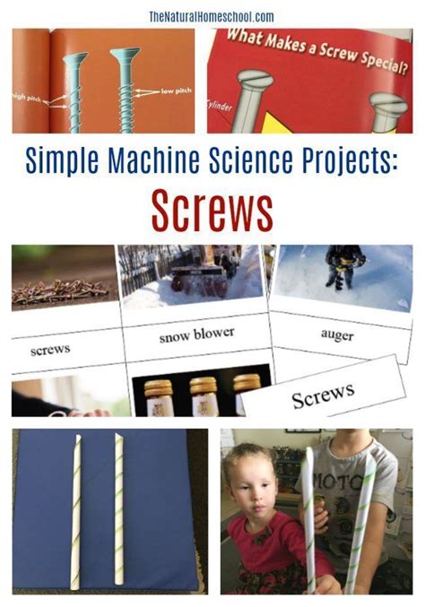 Science Simple Machine DIY Projects 的图像结果