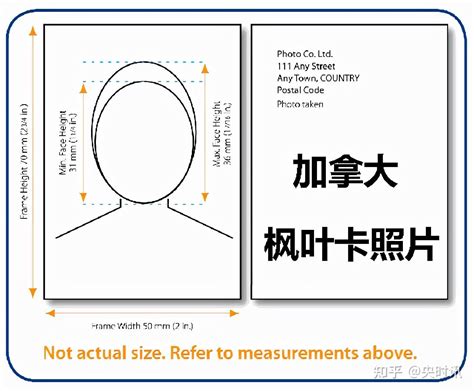 生物识别护照照片 (ICAO) 尺寸、在线工具、要求