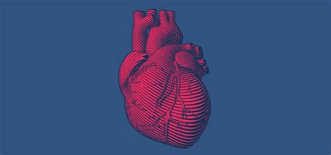 Cell重磅：全球首个人类自组织心脏类器官，可自主跳动且能自我修复|心脏类|肌细胞|器官|修复|技术|空腔|-健康界