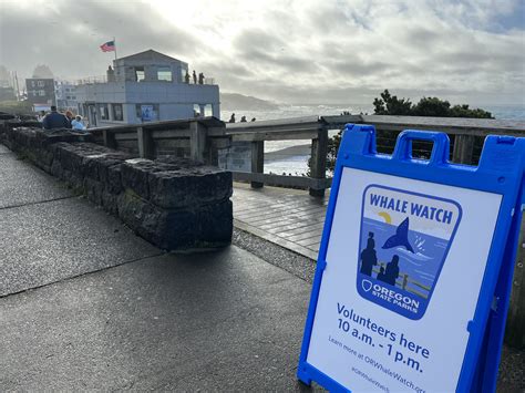 Whale Watch Returns To Oregon Coast For Spring Break 2025 | The Ashland ...